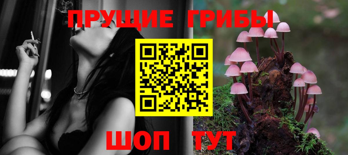 Галлюциногенные грибы MAGIC MUSHROOMS  Вход с VPN  Курчатов 